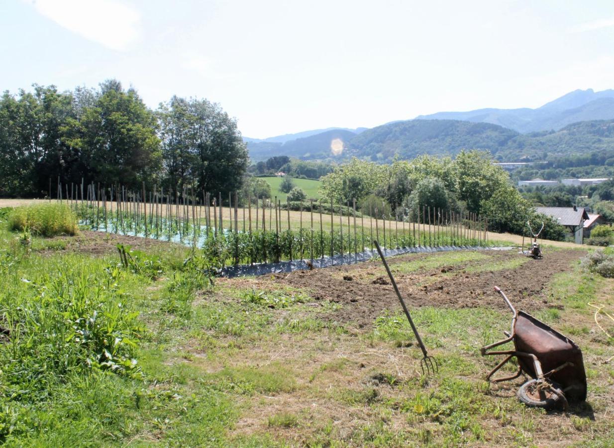 Caserio En Zona Rural Istilla *